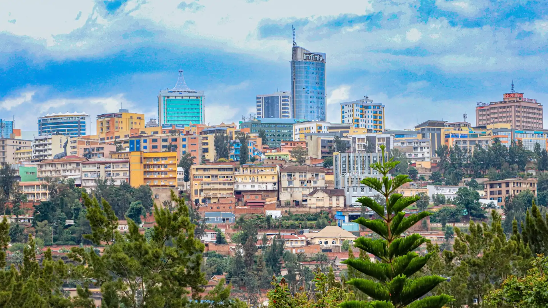 Rwanda Safari Safety Guide for 2026 and Beyond
