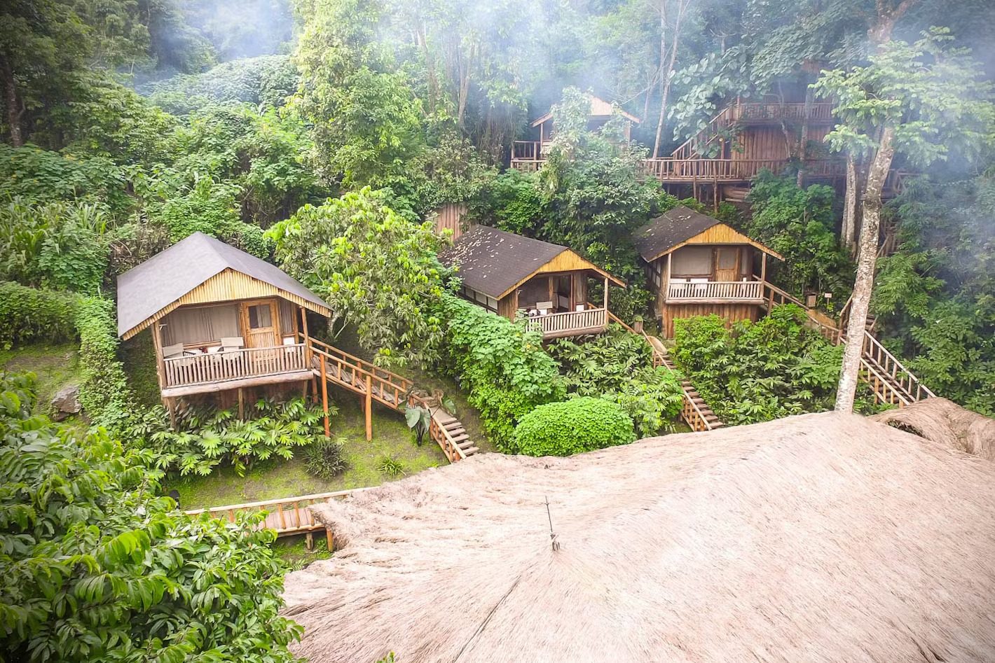 Best Gorilla Trekking Lodges for Families