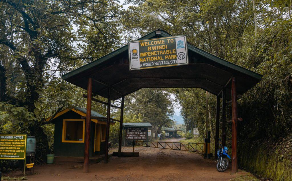 Family Gorilla Safaris in Uganda: Complete Guide Family Gorilla Safaris in Uganda