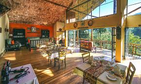 Luxury Uganda Gorilla Lodges: Best Bwindi and Mgahinga Stays Luxury Uganda Gorilla Lodges