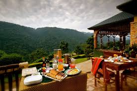 Luxury Uganda Gorilla Lodges: Best Bwindi and Mgahinga Stays Outdoor patio breakfast setup on a wooden terrace overlooking green hills, with plates, fruit, coffee and juice on the table.