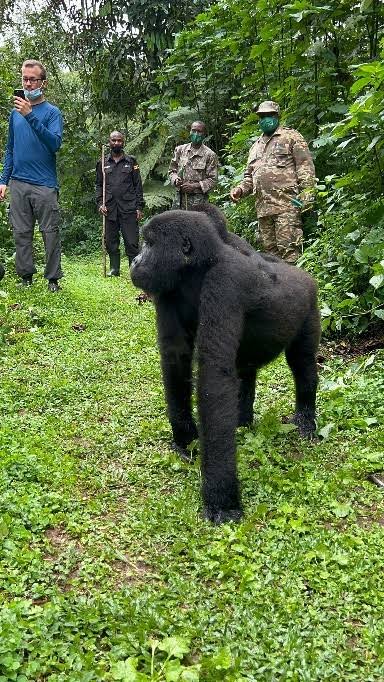 Gorilla Trekking with Professional Safari Guides