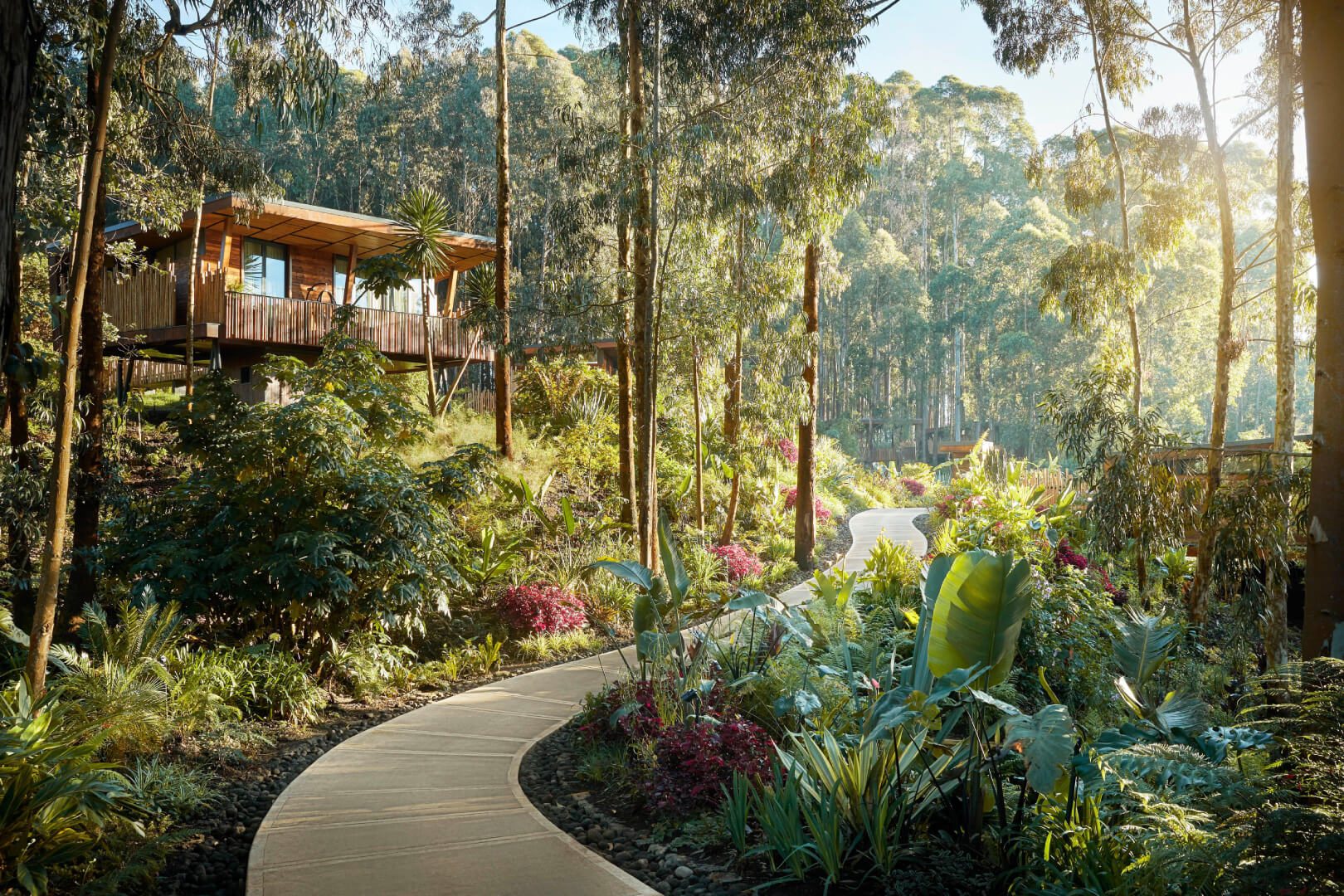 One&Only Gorilla’s Nest, One&Only Gorilla’s Nest Rwanda, One and Only Gorilla’s Nest, One&Only Gorilla’s Nest Volcanoes National Park, One&Only Gorilla’s Nest Rwanda prices, One&Only Gorilla’s Nest booking, One&Only Gorilla’s Nest accommodation, One&Only Gorilla’s Nest luxury lodge, One&Only Gorilla’s Nest Musanze, One&Only Gorilla’s Nest Kinigi, luxury lodges in Rwanda, luxury safari lodges Rwanda, best luxury lodges in Rwanda, Rwanda luxury lodges, luxury hotels in Rwanda, best luxury hotels in Rwanda, 5 star hotels in Rwanda, 5 star lodges in Rwanda, luxury safari accommodation Rwanda, luxury resorts in Rwanda, luxury hotels near Volcanoes National Park, luxury lodges near Volcanoes National Park, best lodges near Volcanoes National Park, hotels near Volcanoes National Park Rwanda, lodges near Volcanoes National Park Rwanda, Volcanoes National Park luxury lodges, Volcanoes National Park accommodation, best hotels near Volcanoes National Park Rwanda, luxury accommodation Volcanoes National Park, where to stay near Volcanoes National Park, luxury gorilla trekking lodges Rwanda, gorilla trekking lodges Rwanda, best gorilla lodges in Rwanda, Rwanda gorilla safari lodges, luxury gorilla safari Rwanda, luxury gorilla trekking Rwanda, Rwanda luxury gorilla safari, gorilla trekking accommodation Rwanda, luxury accommodation for gorilla trekking Rwanda, best hotels for gorilla trekking Rwanda, luxury lodges in Musanze Rwanda, luxury hotels in Musanze Rwanda, best lodges in Musanze, luxury lodges in Kinigi Rwanda, hotels near gorilla trekking Rwanda, Rwanda luxury safari, Rwanda luxury safari packages, luxury Rwanda gorilla trekking tours, luxury Rwanda gorilla safari packages, best places to stay for gorilla trekking Rwanda