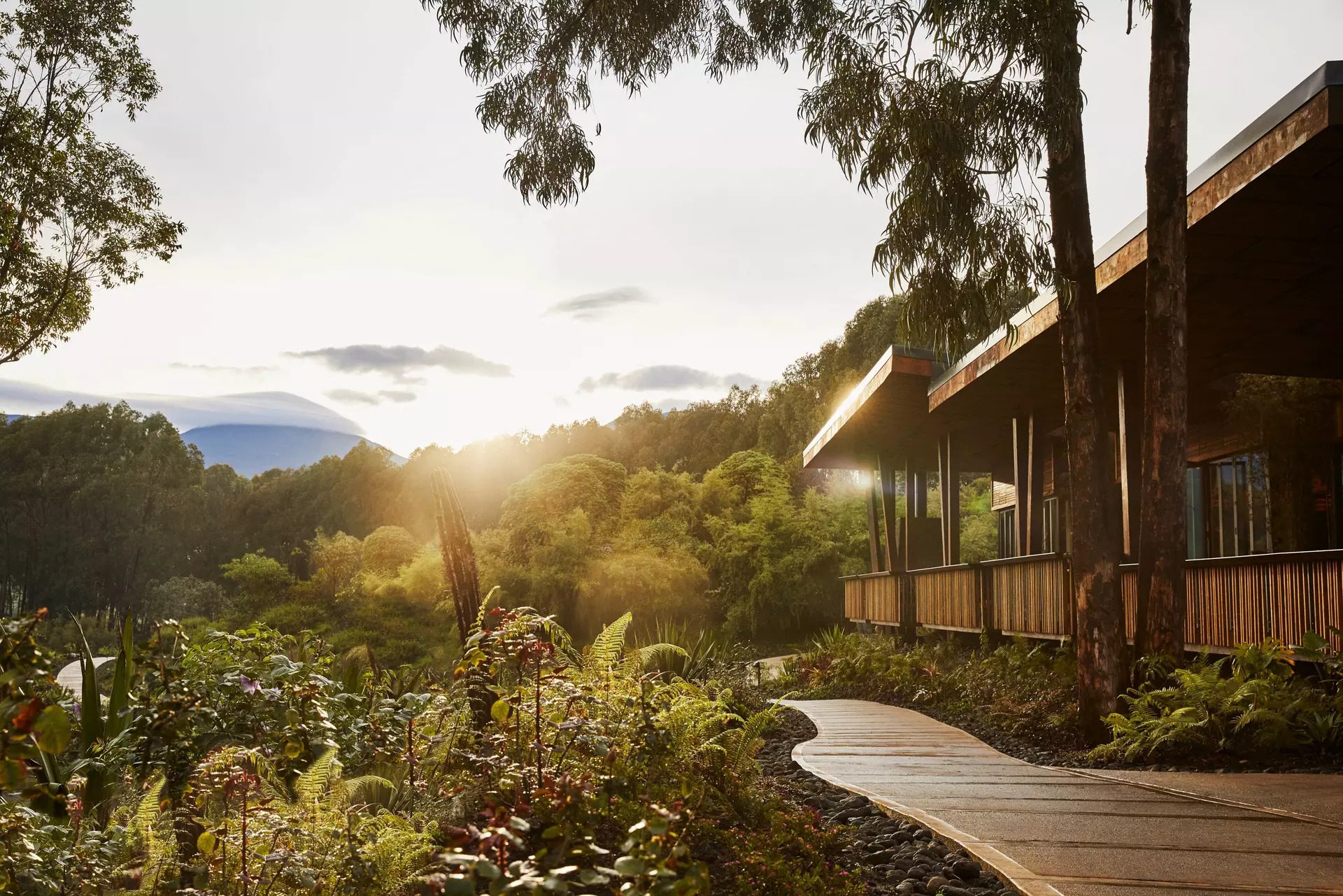 Forest Treehouse One and Only Gorilla's Nest