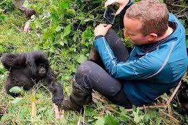 How to See Gorillas in Rwanda – Gorilla Trekking in Volcanoes National Park