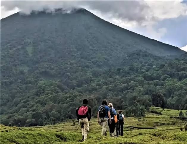 Group of hikers with backpacks walking along a grassy ridge toward a forested valley and distant mountain under a cloudy sky.