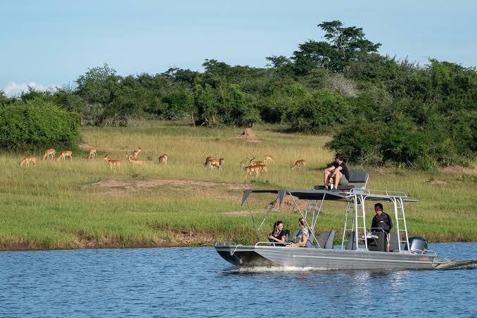 Akagera National Park Travel Guide: Safaris, Wildlife, Costs... Akagera National Park Travel Guide