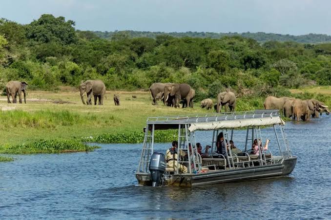 Akagera Boat Safari Complete Guide