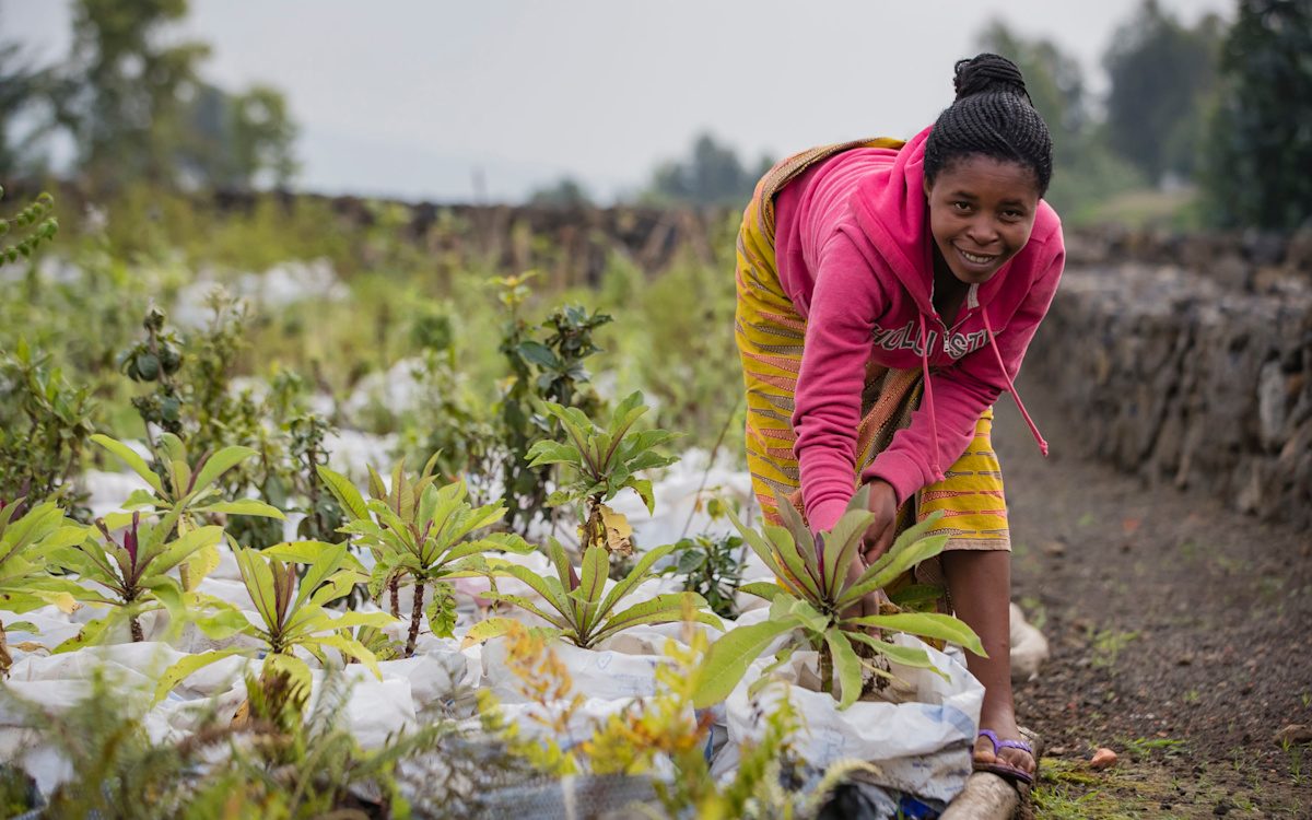 Akarabo Nursery Singita Kwitonda Rwanda