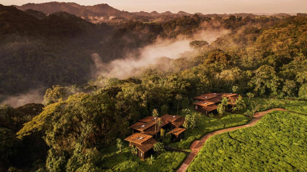 Canopy Treehouse style luxury forest accommodation