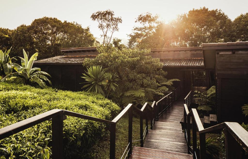 One&Only Nyungwe House Rwanda rainforest luxury resort