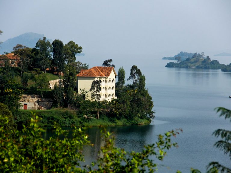 7 Days Rwanda Luxury Gorilla Safari, 7 Days Rwanda Gorilla and Chimpanzee Safari, 7 Days Rwanda Luxury Safari, 7 Days Rwanda Gorilla Trekking Safari, 7 Days Rwanda Chimpanzee Trekking Safari, 7 Day Rwanda Gorilla Safari, 7 Day Rwanda Luxury Safari, 7 Days Rwanda Primate Safari, 7 Days Rwanda Gorilla Tour, 7 Days Rwanda Safari Tour, Rwanda luxury gorilla safari, Rwanda luxury chimpanzee safari, Rwanda gorilla and chimpanzee safari, Rwanda gorilla trekking safari, Rwanda chimpanzee trekking safari, luxury Rwanda safari packages, Rwanda luxury safari tours, Rwanda primate safari, Rwanda primate trekking safari, Rwanda gorilla trekking packages, Rwanda chimpanzee trekking tours, luxury gorilla trekking Rwanda, luxury gorilla tours Rwanda, Rwanda gorilla safari packages, Rwanda gorilla and chimpanzee tour, Rwanda gorilla trekking and chimpanzee trekking, Rwanda luxury primate safari, Rwanda wildlife and primate safari, Rwanda gorilla safari itinerary, Rwanda luxury safari itinerary, 7 days Rwanda safari itinerary, Rwanda safari 7 days, Rwanda safari packages 7 days, Rwanda gorilla trekking holiday, Rwanda luxury safari holiday, Rwanda gorilla trekking vacation, Rwanda gorilla trekking tour, Rwanda chimpanzee safari, Volcanoes National Park gorilla trekking, Volcanoes National Park luxury safari, Nyungwe chimpanzee trekking, Nyungwe Forest chimpanzee safari, Nyungwe National Park safari, Rwanda Volcanoes and Nyungwe safari, Volcanoes and Nyungwe safari Rwanda, luxury lodges Rwanda safari, private luxury safari Rwanda, private gorilla trekking Rwanda, best Rwanda gorilla safari, best luxury safari in Rwanda