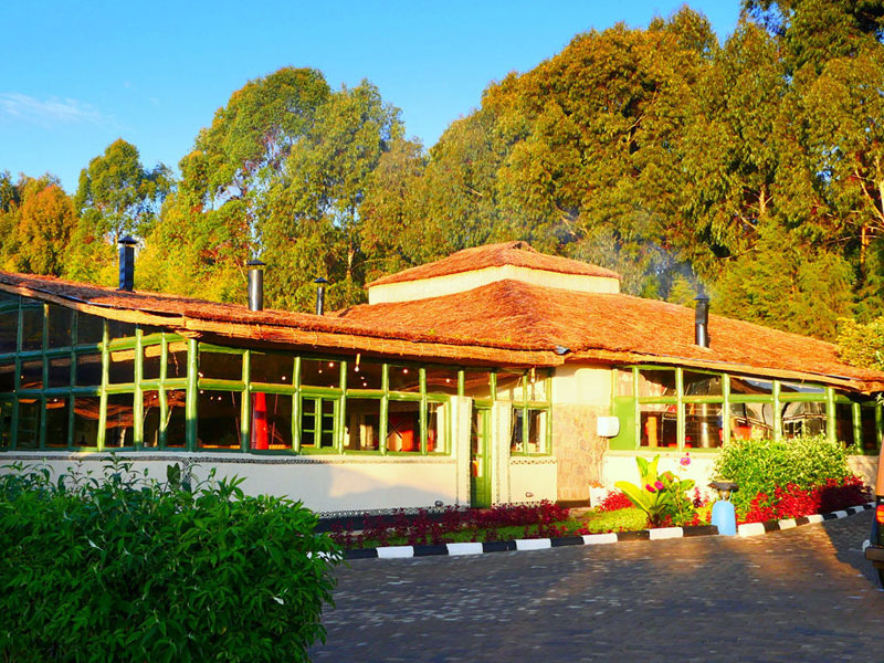 le bambou gorilla lodge, accommodation in volcanoes, gorilla trekking lodge, lodges in volcanoes national park