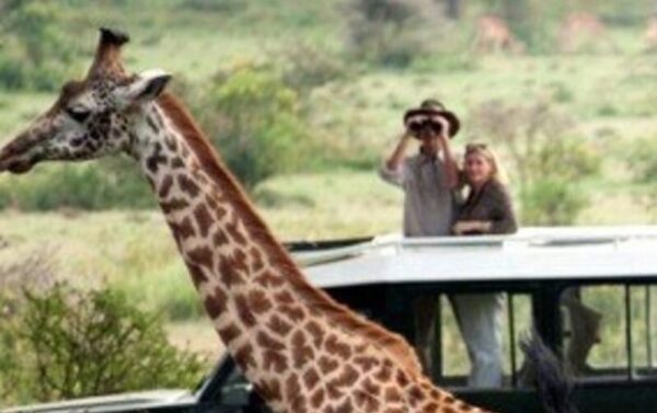 Things Tourists Should Never Do in Rwanda