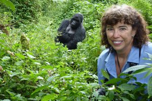 safaris in rwanda, gorilla safaris in rwanda, primate safaris, in rwanda, wildlife safaris in rwanda, rwanda safaris, safari in rwanda, gorilla trekking safaris in rwanda, gorilla trekking safaris, chimpanzee trekking safaris in rwanda, chimpanzee safaris in rwanda, chimp trekking safaris in rwanda, chimpanzee tracking in rwanda, chimpanee tracking safaris in rwanda, tours in rwanda, safari rwanda prices, things to do in rwanda, rwanda gorilla trekking tours, rwanda travel packages, rwanda group tours, how much is a safari in rwanda, safaris in rwanda packages, safaris in rwanda from, rwanda safari cost, gorilla safari price in rwanda
