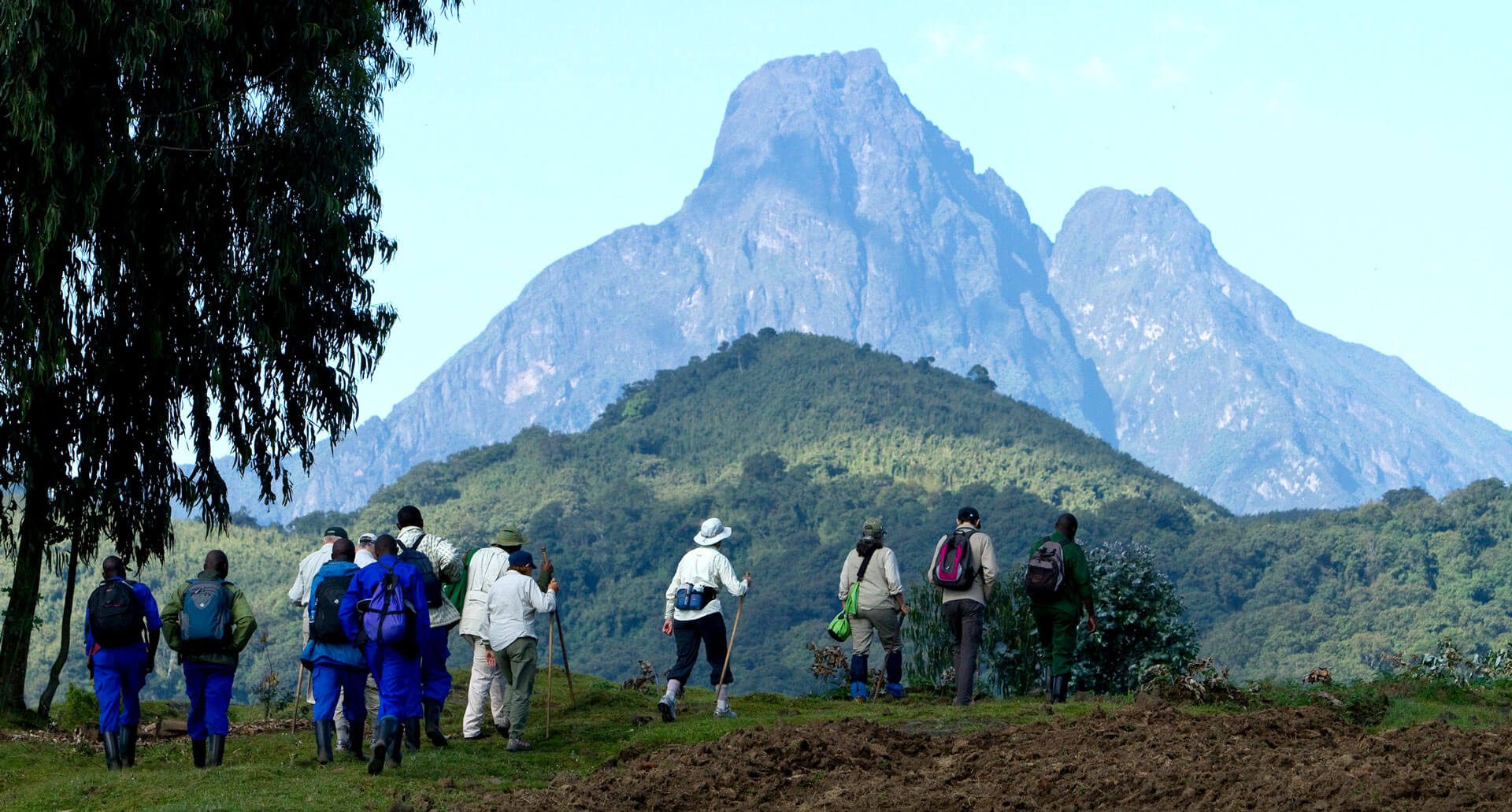 Hiking The Volcanoes Universal Ventures Rwanda