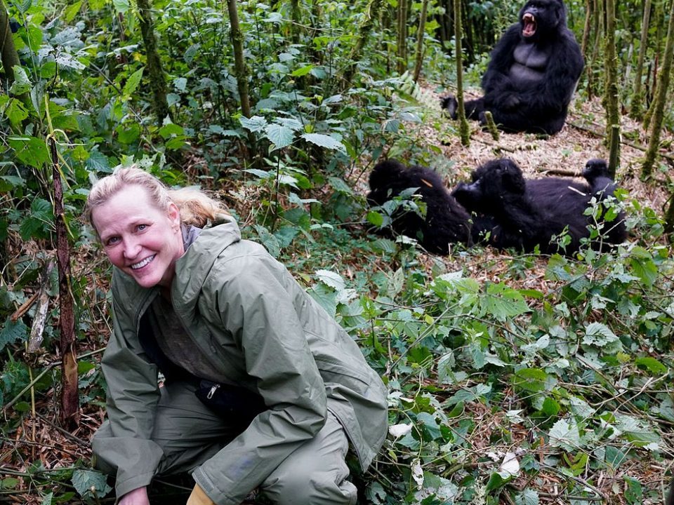 Gorilla trekking Rwanda