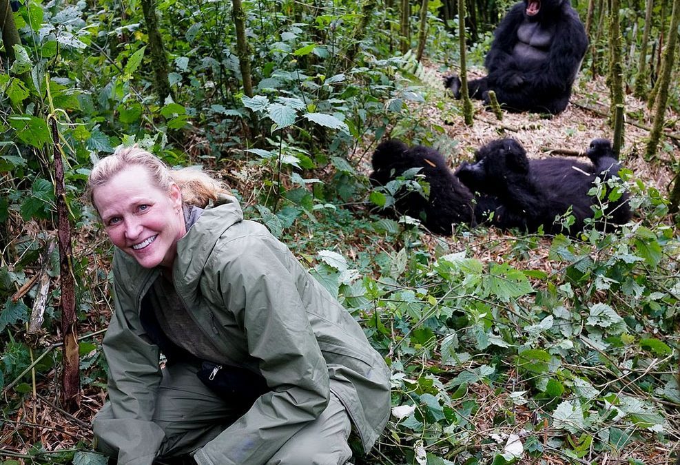 Gorilla trekking Rwanda