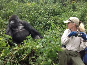 Rwanda Mountain Gorilla trekking.