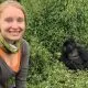 Gorilla safaris in Rwanda