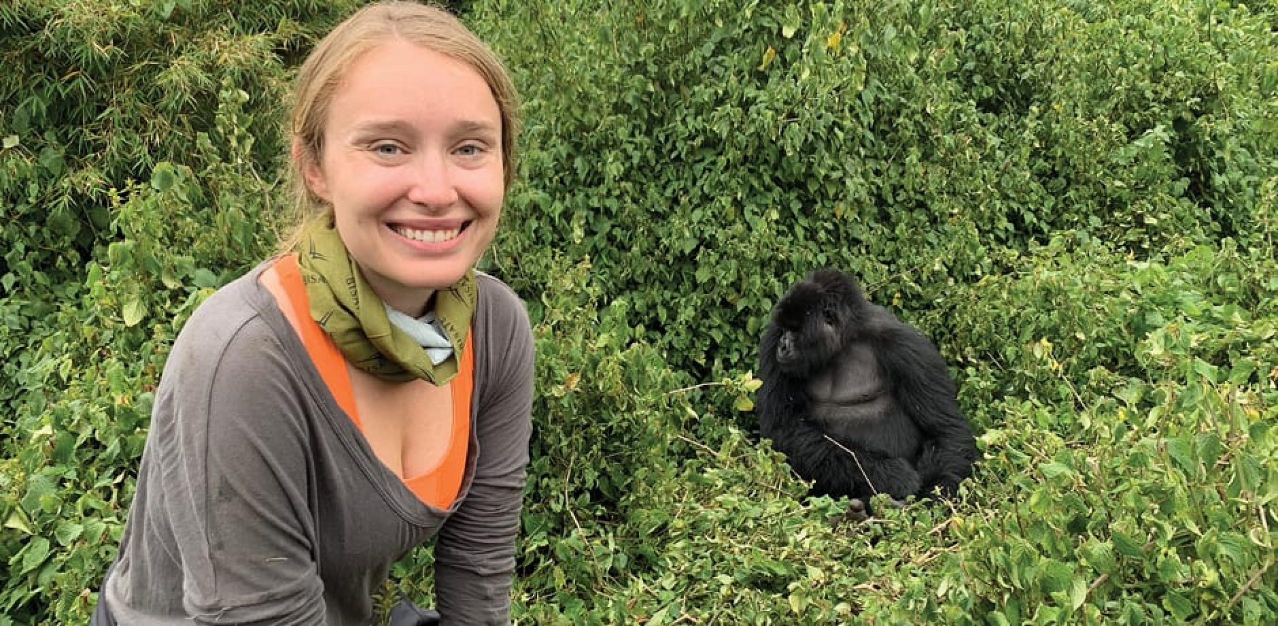 Gorilla safaris in Rwanda