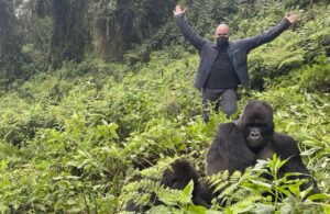 Rwanda gorilla trekking