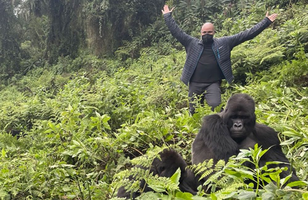 Rwanda gorilla trekking