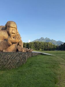 Rwanda safari Tours