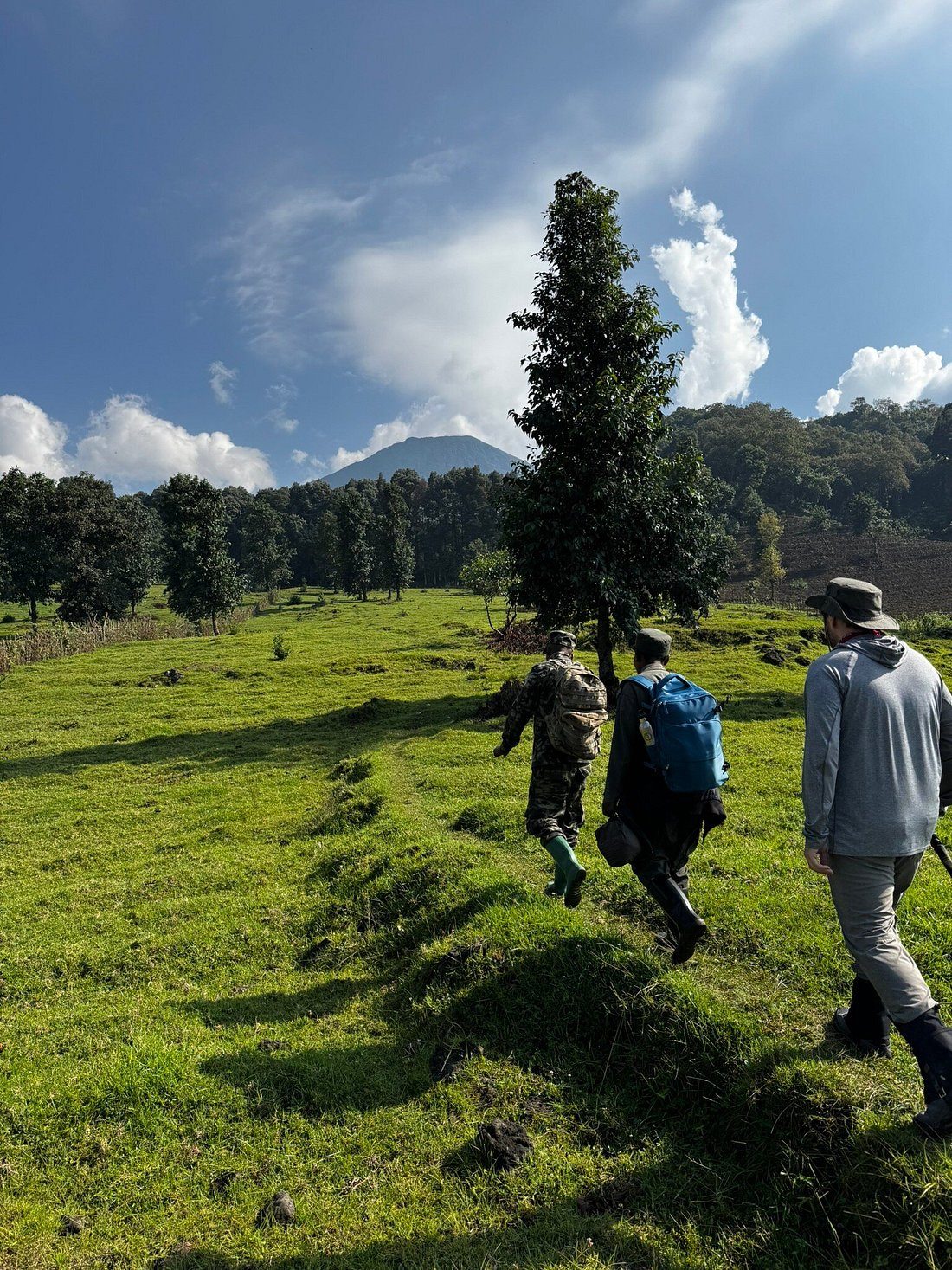 How Difficult Is Gorilla Trekking?