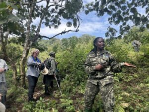 Read more about the article Rwanda Gorilla Safari Permits: Availability, Rules & Booking Tips