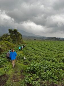 How Long Does Gorilla Trekking Take in Rwanda