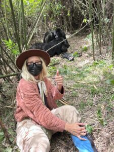 Read more about the article What Happens If You Don’t See Gorillas in Rwanda?