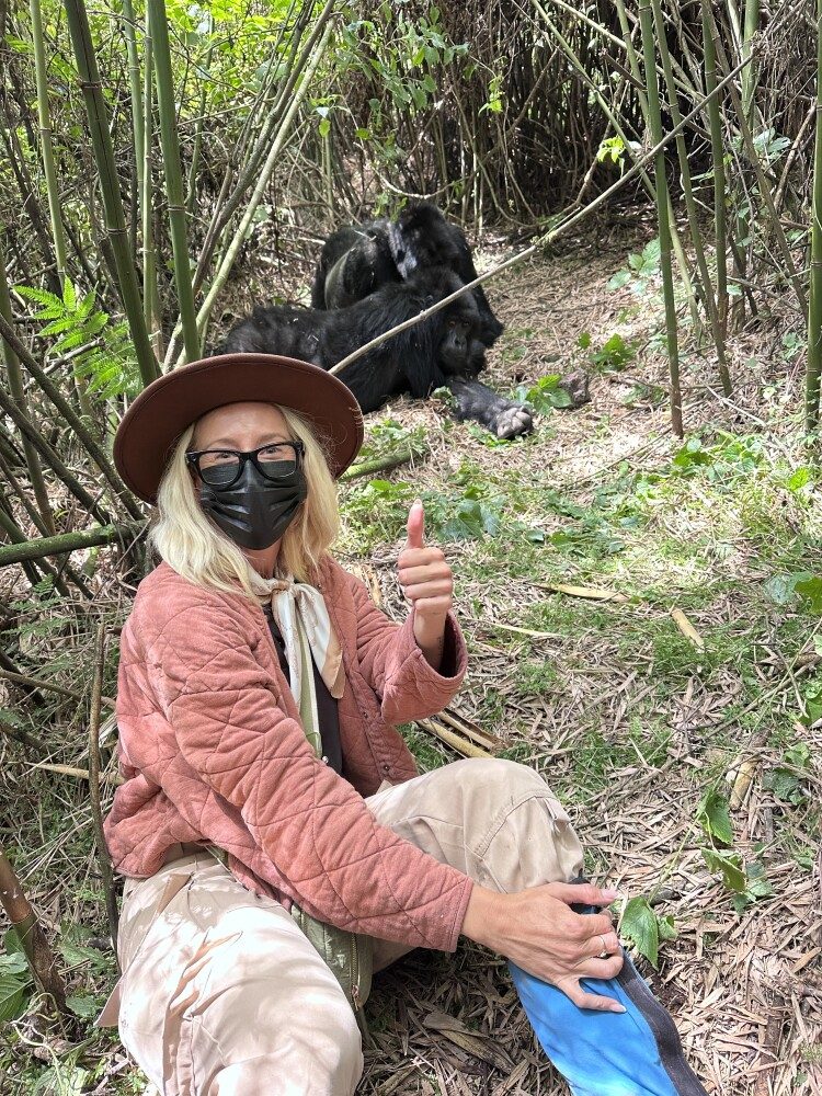 You are currently viewing What Happens If You Don’t See Gorillas in Rwanda?