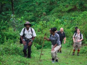 Read more about the article Rwanda Safari with Conservation and Sustainability Focus