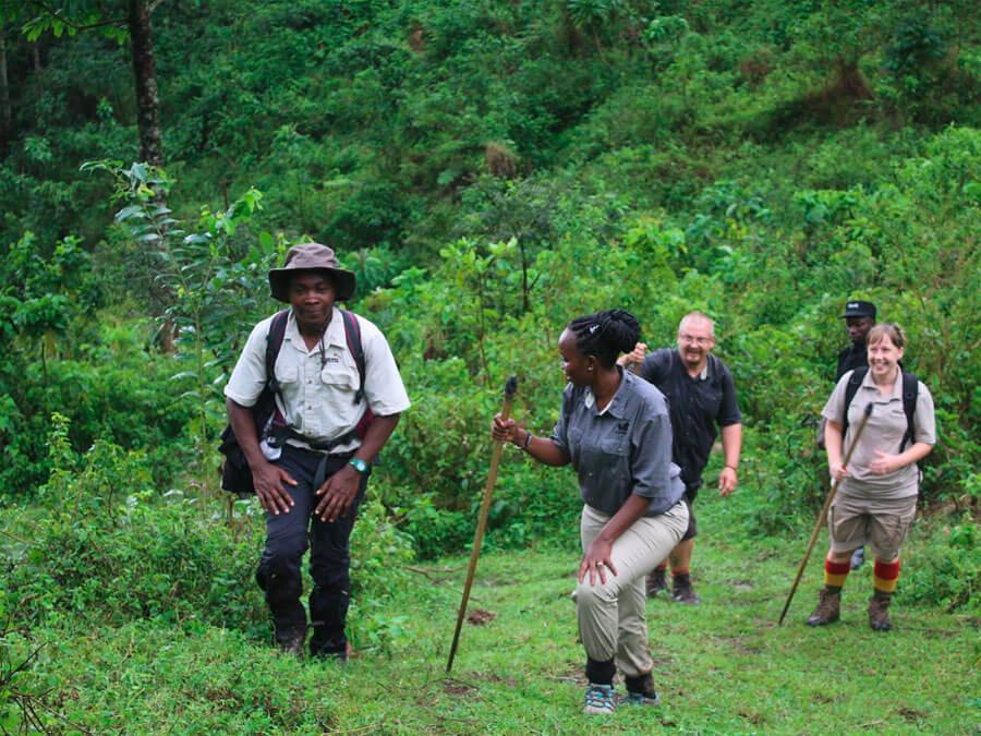 You are currently viewing Rwanda Safari with Conservation and Sustainability Focus