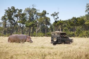 Read more about the article Rwanda Big Five Safari Photography Tips