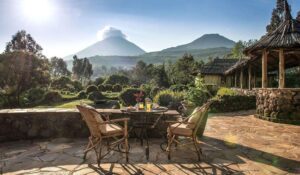 Read more about the article Rwanda Safari for Photographers and Filmmakers