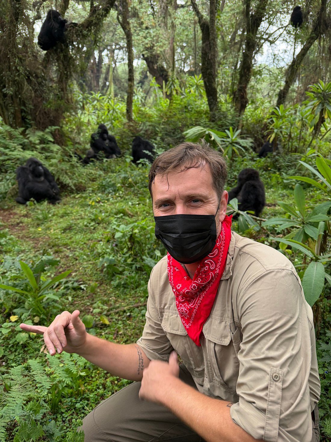 Gorilla Trekking in Rwanda for Solo Travelers – Ultimate.... Gorilla Trekking in Rwanda for Solo Travelers