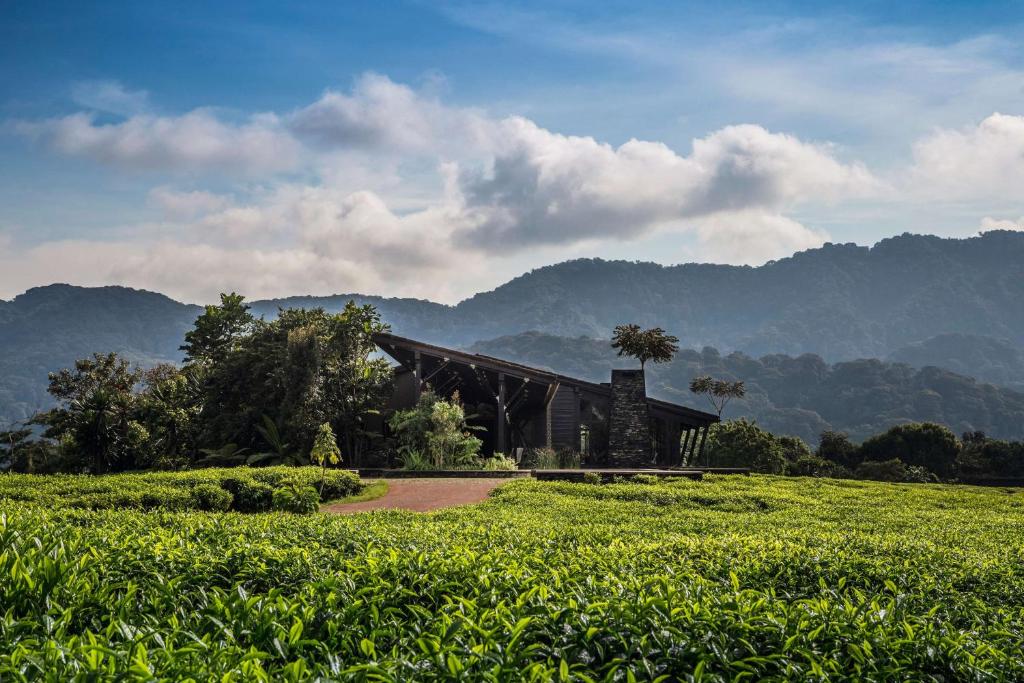Attractions in Rwanda, Where to Go in Rwanda | Visit Rwanda Must see Attractions in Rwanda