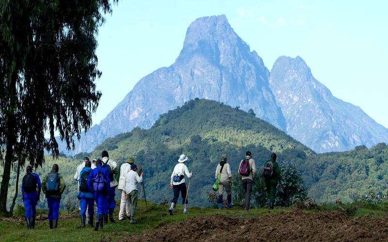 Gorilla Trekking in Rwanda